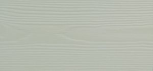 c06