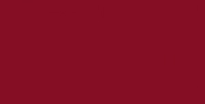 3005 krasnoe vino